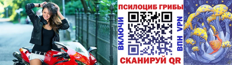 Галлюциногенные грибы Cubensis сколько стоит Балей